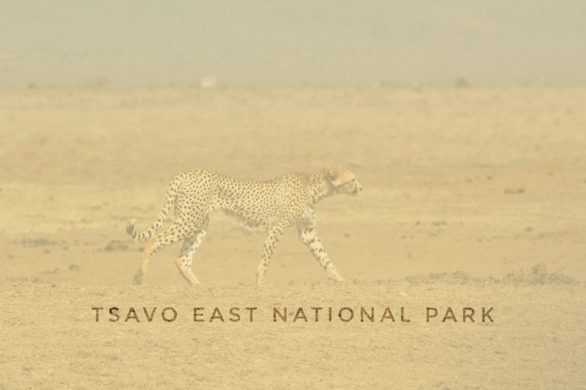 header tsavo east national park kenya, asia