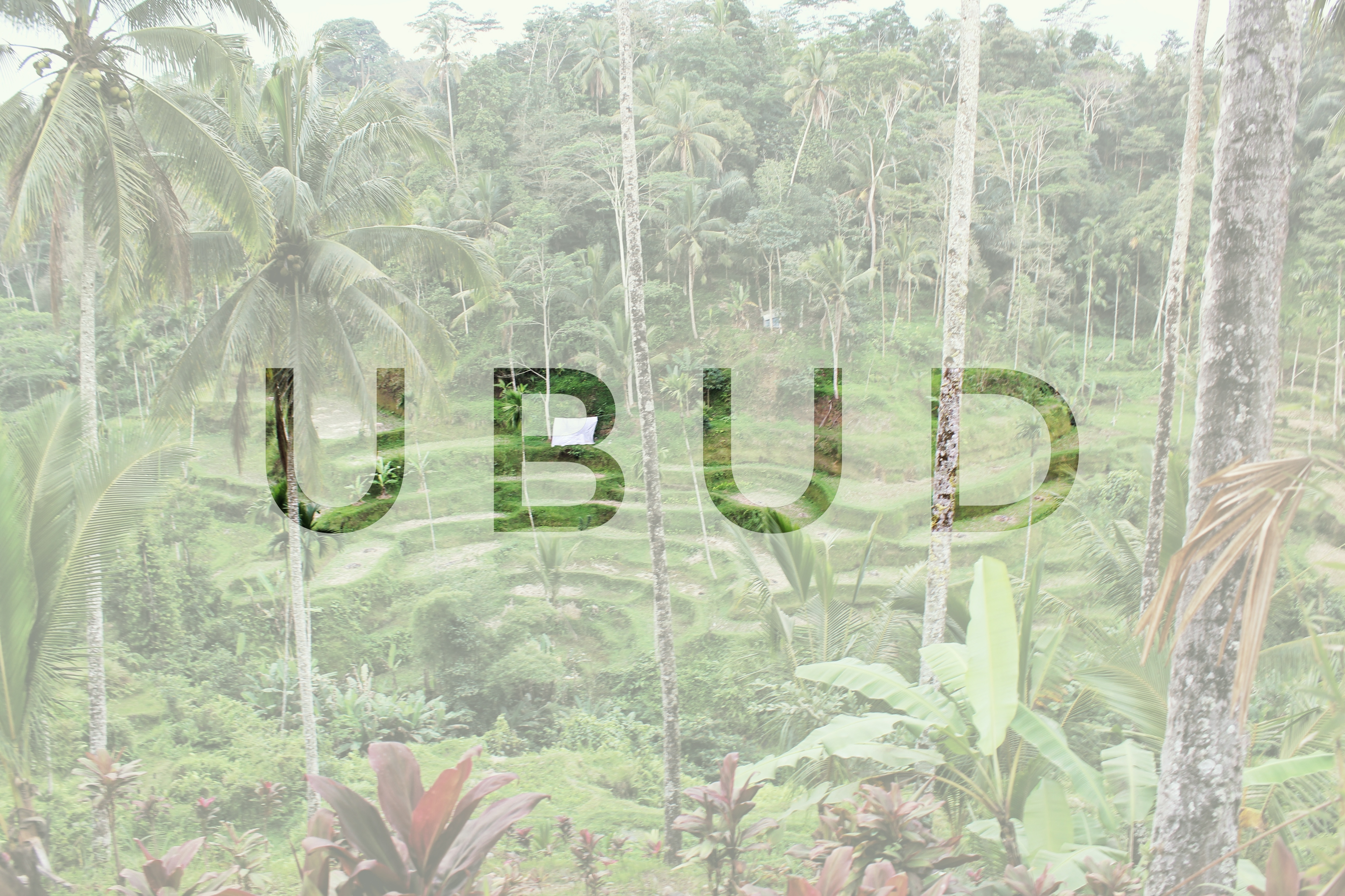 header of the blogpost about ubud in indonesia