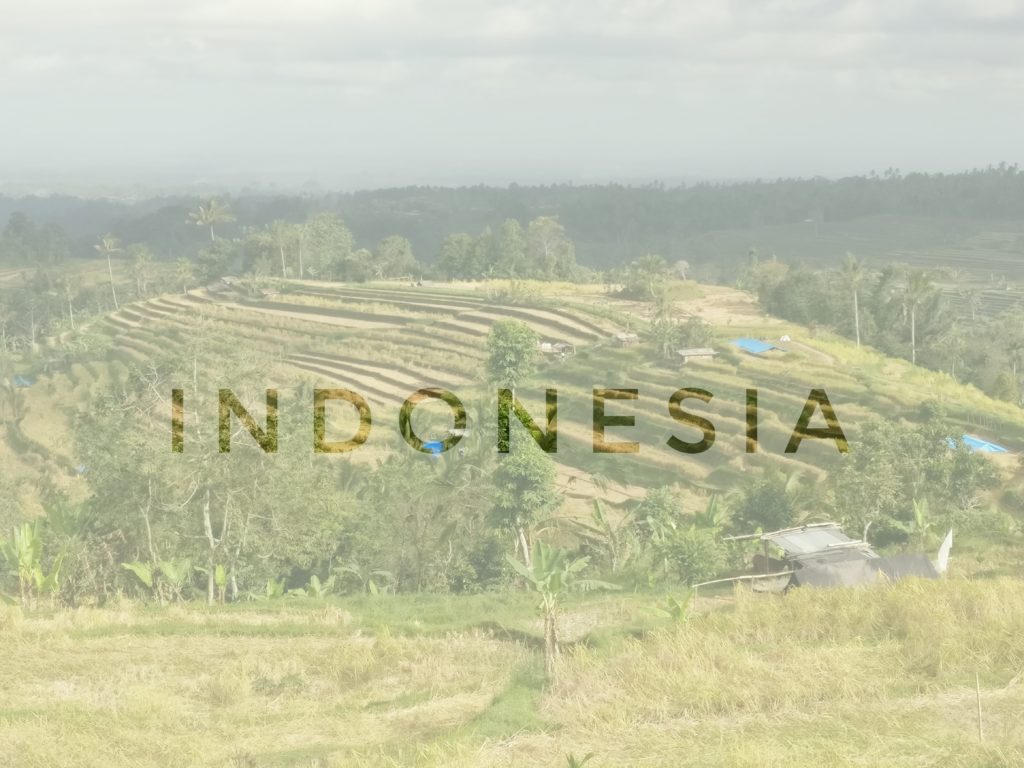 unesco jatiluwih rice fields in bali, indonesia, asia