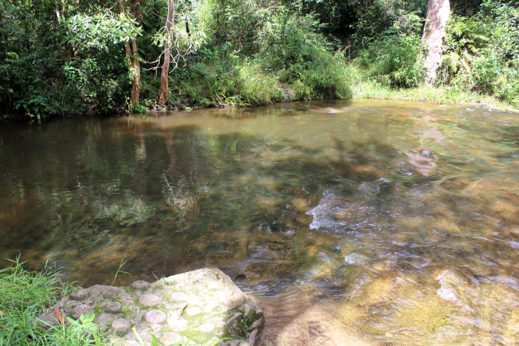 the lingas in the river at kulen mountain, Siem Reap, Cambodia