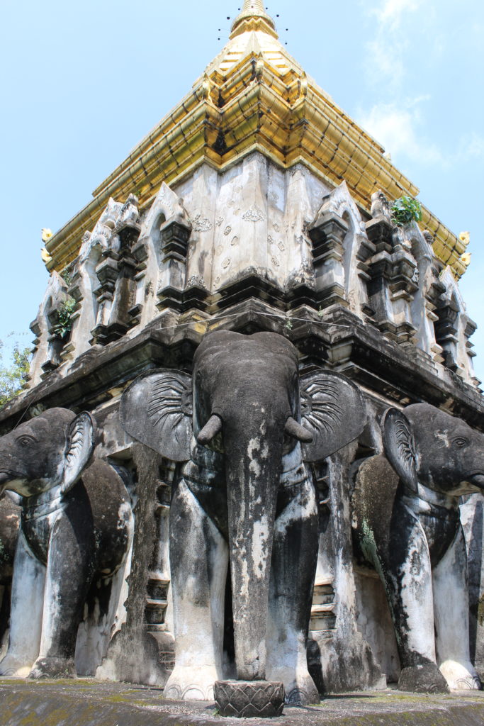 elephant chedi in Wat chiang man in chiang mai