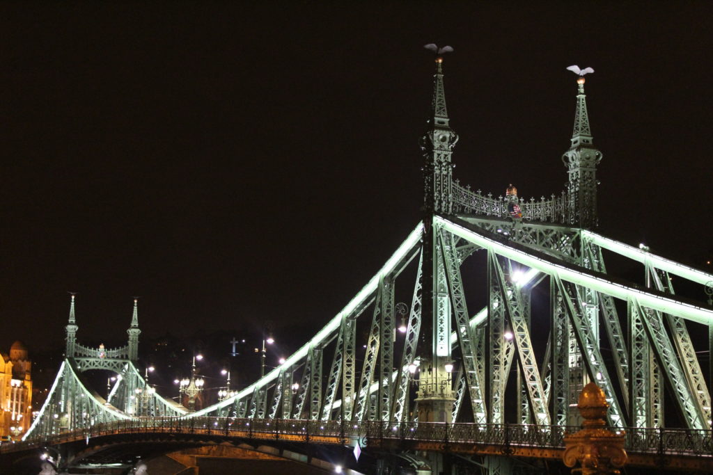 liberty bridge by night, Budapest, Hungary