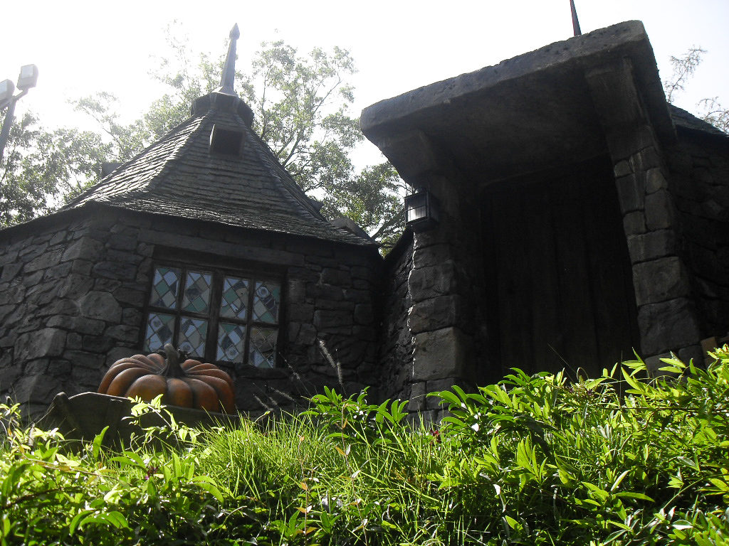 the wizarding world of harry potter, flight of the hippogriff in universal studios, orlando, Florida, USA