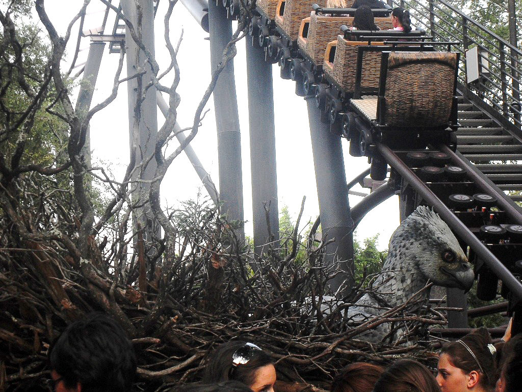the wizarding world of harry potter, flight of the hippogriff in universal studios, orlando, Florida, USA