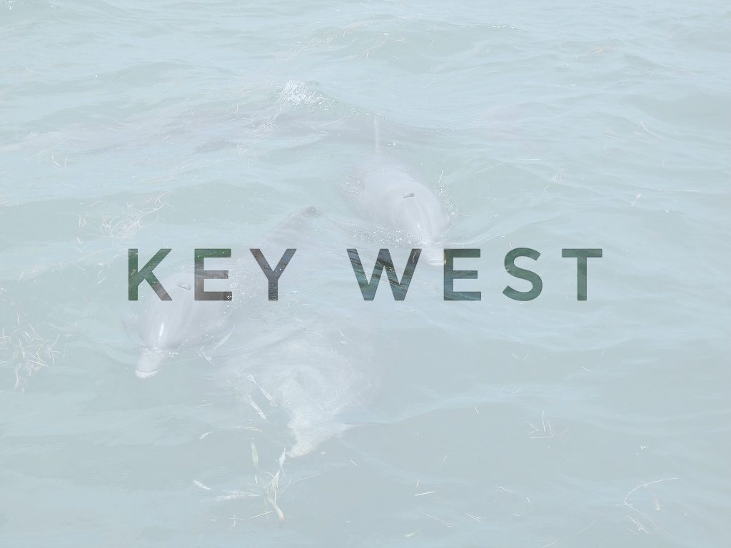 key west header