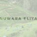 header article nuwara eliya in Sri Lanka, asia
