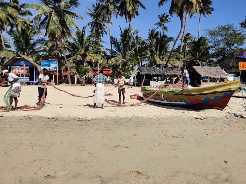 Fishing Net Full of Days Catch of Small Fish on Nilaveli Beach in  Trincomalee Sri Lank Stock Image - Image of beach, lanka: 126133945