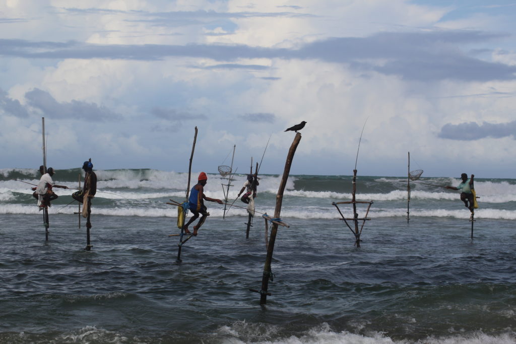 stilt fishermen in tissamaharama, Sri Lanka