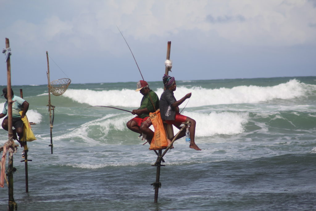 stilt fishermen in tissamaharama, Sri Lanka