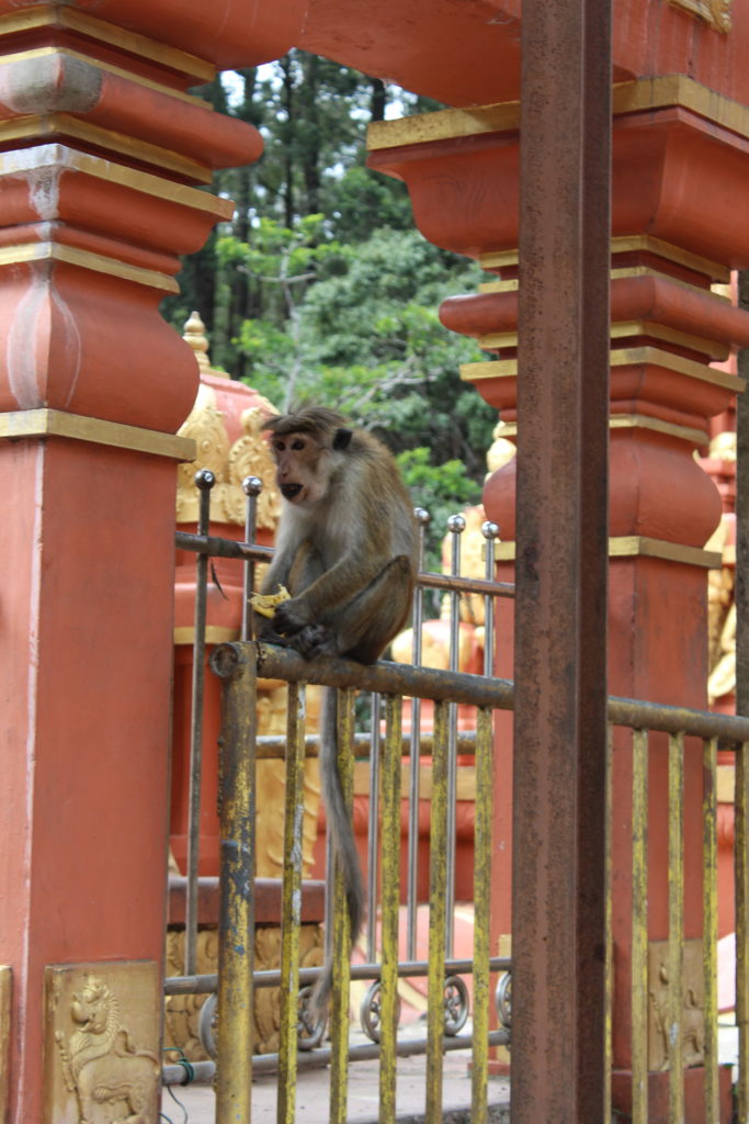 Seetha Amman Temple in Nuwara Eliya, Sri Lanka