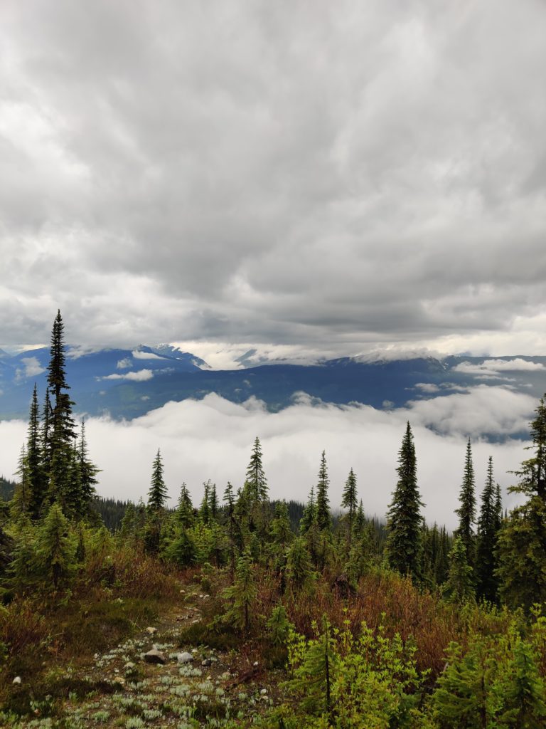 revelstoke national park meadows in the sky parkway in canada. Photo taken by life of a passion