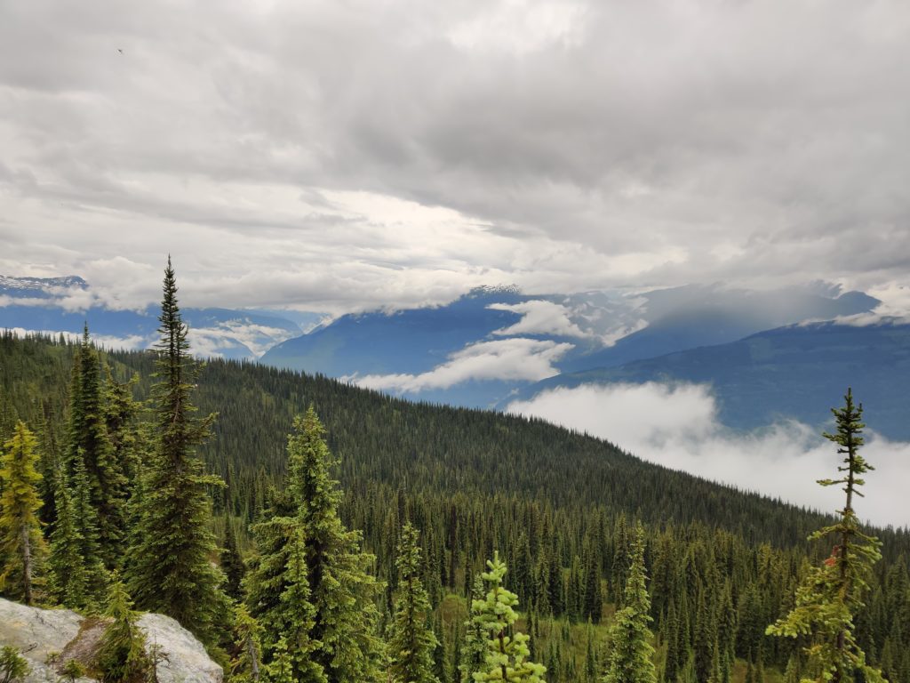 revelstoke national park meadows in the sky parkway in canada. Photo taken by life of a passion