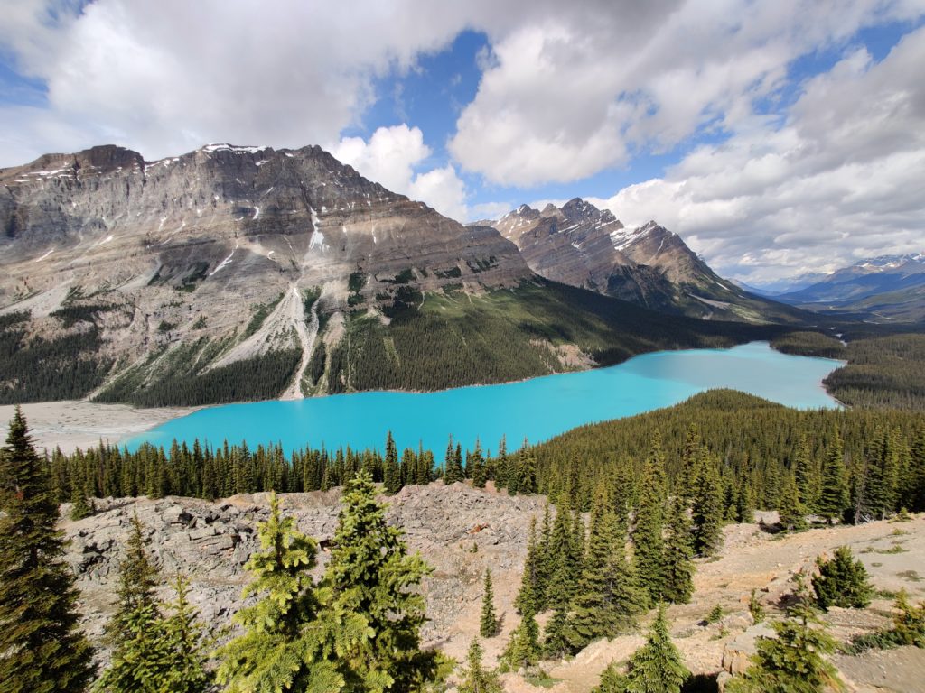 peyto lake in banff in canada. Photo taken by life of a passion