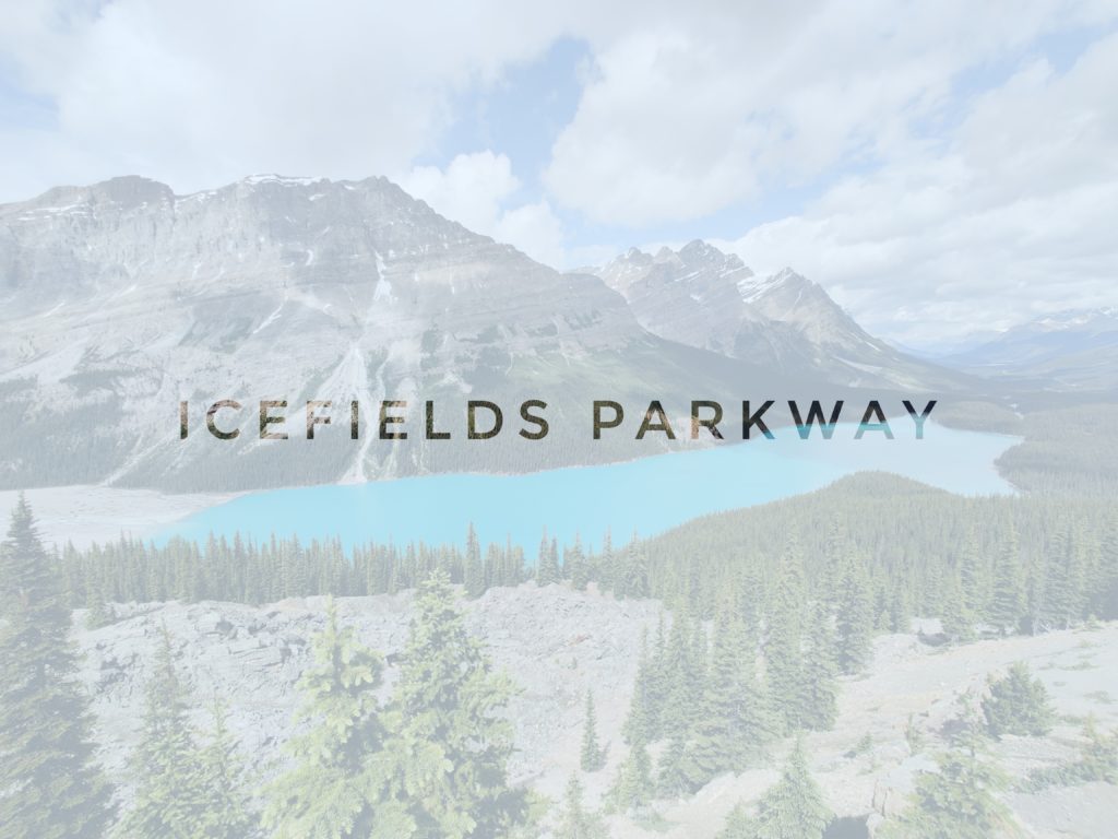 Icefielss parkway peyto lake canada