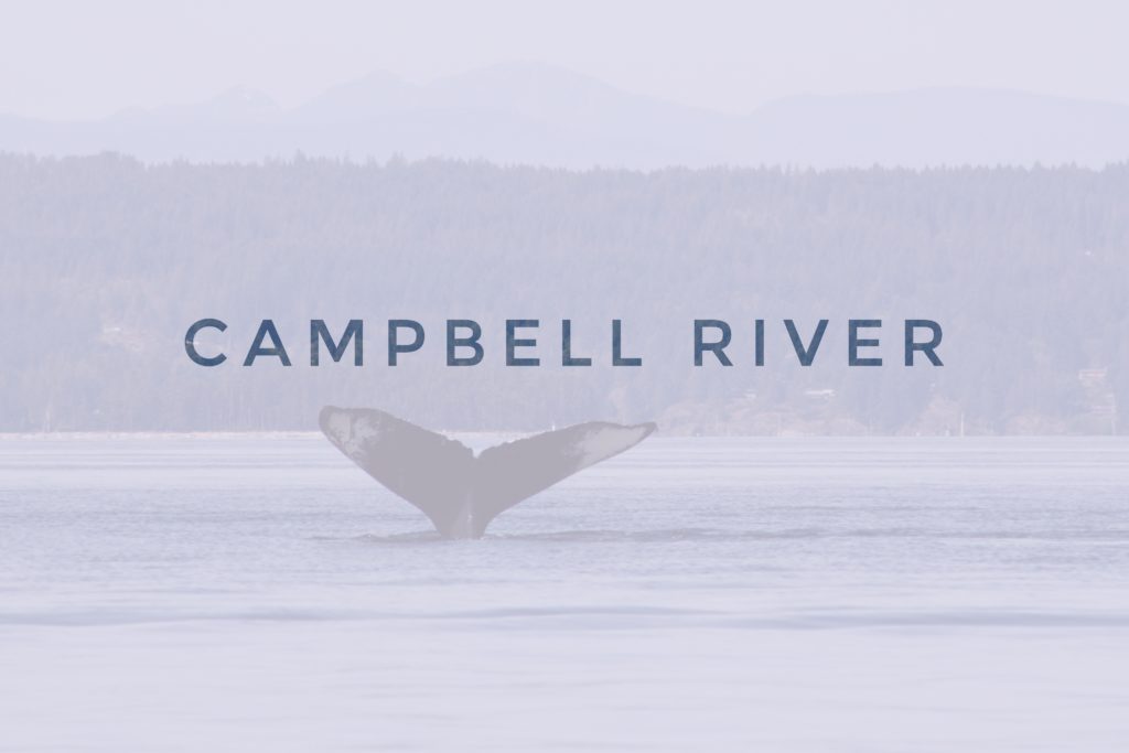 header campbell river whale tail