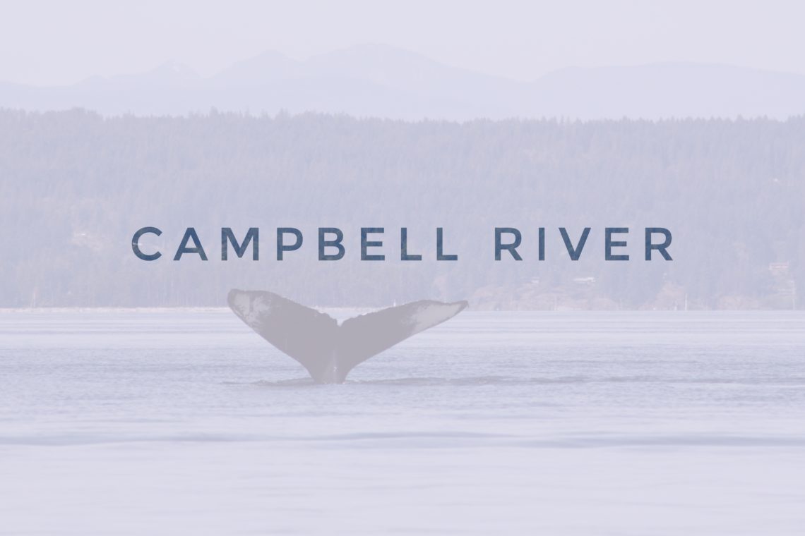 header campbell river whale tail, north america