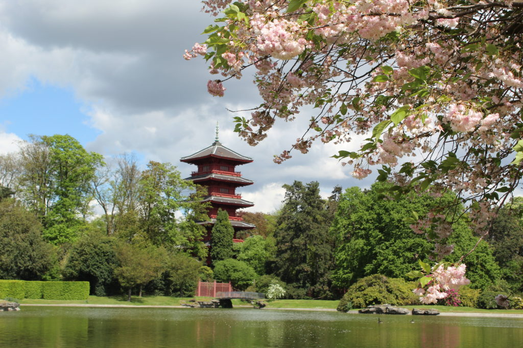 the Japanese Tower viewed from the royal greenhouses of laeken in brussels, belgium