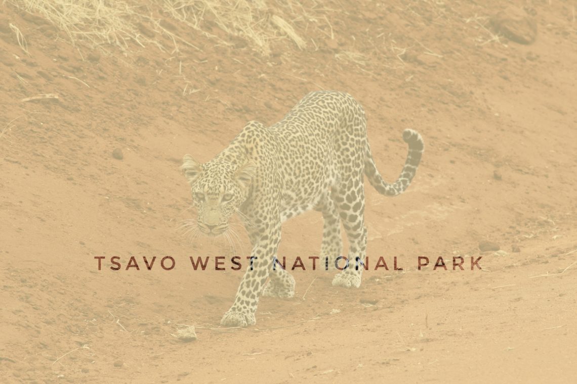 tsavo west national park kenya header, asia