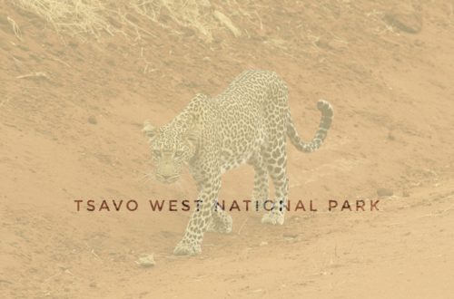 tsavo west national park kenya header, asia