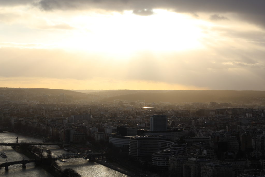 view from the eiffel tower in Paris, France