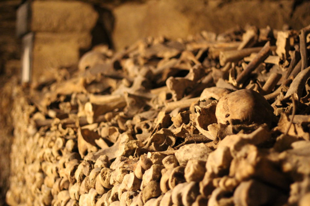 the paris catacombs in Paris, France