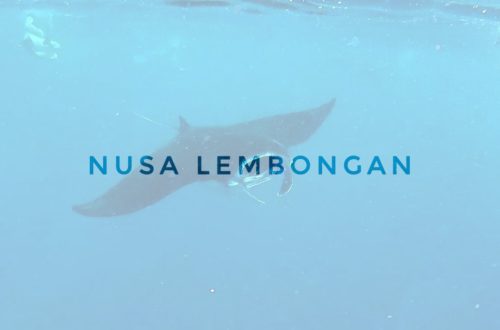 nusa lembongan manta ray in indonesia, asia