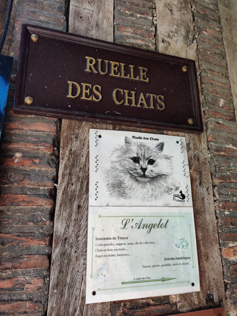 Ruelle des Chats in troyes, france