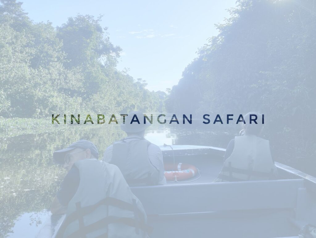 header kinabatangan safari malaysia blog