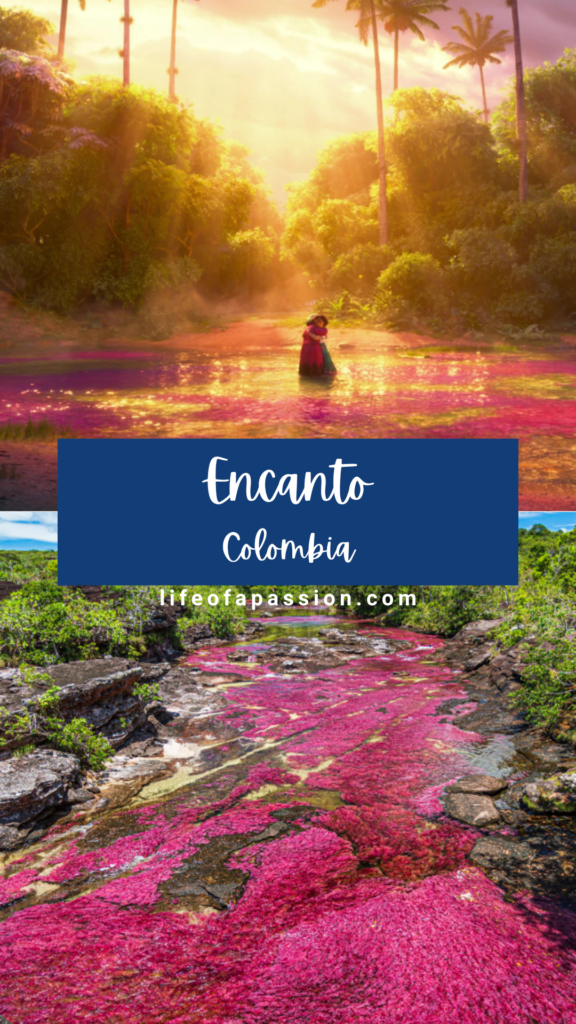 Disney movie film locations in real life - encanto, colombia, Bogota, Salento, Cartagena, Barichara, and some towns and villages near the Cocora Valley, Caño Cristales River